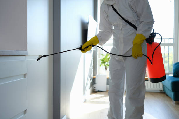 Best Bathroom Mold Remediation in East Liverpool, OH